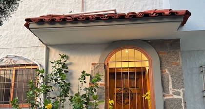 Pet Friendly Luxury Depa in Bugambilias