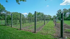 Property grounds - Beachcomber Suite (Kent County)