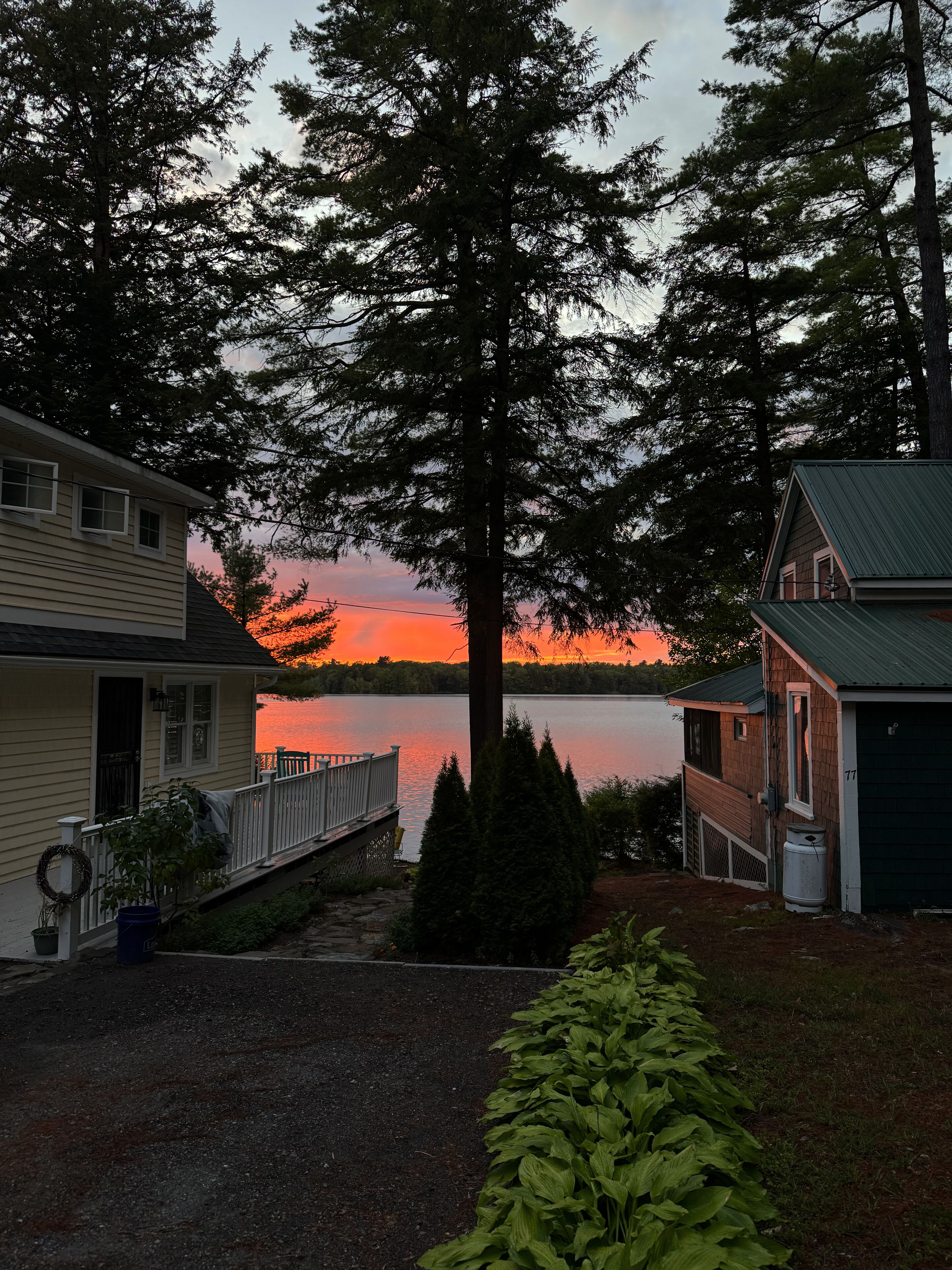 Une propriété au bord du lac, dotée d’un quai, d’un grand arbre et d’une maison avec un garage.