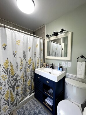 Shower, hair dryer, towels