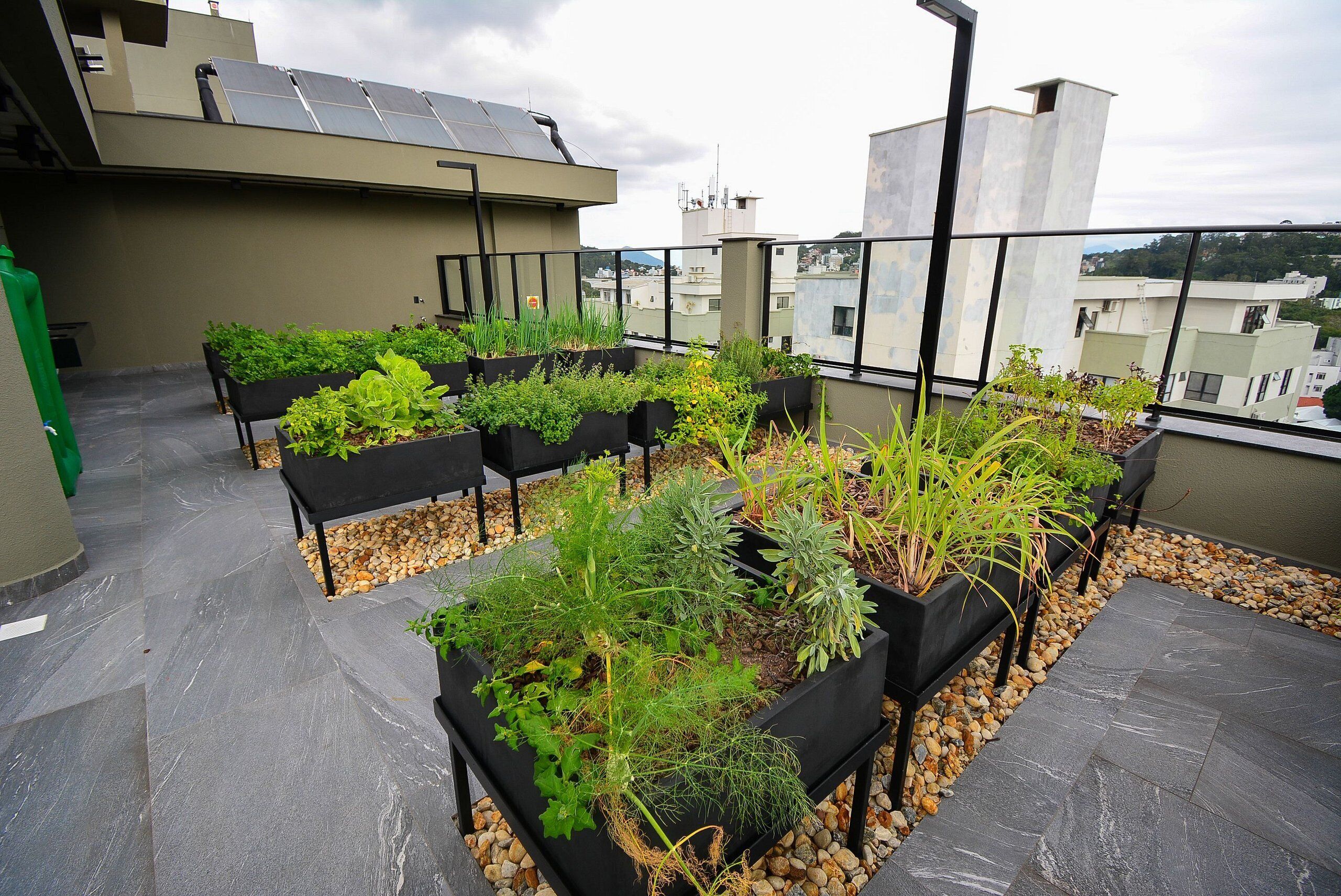Un jardín en la azotea con macetas elevadas que contienen diversas plantas, un edificio moderno con paneles solares y vistas a otros edificios al fondo.