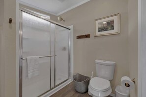 Shower, hair dryer