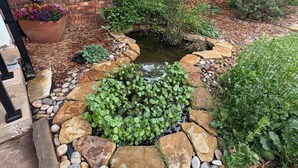 Un giardino con uno stagno, circondato da un cordolo in pietra e diverse piante.