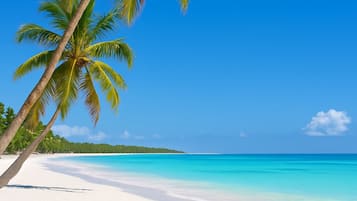 Una playa cerca