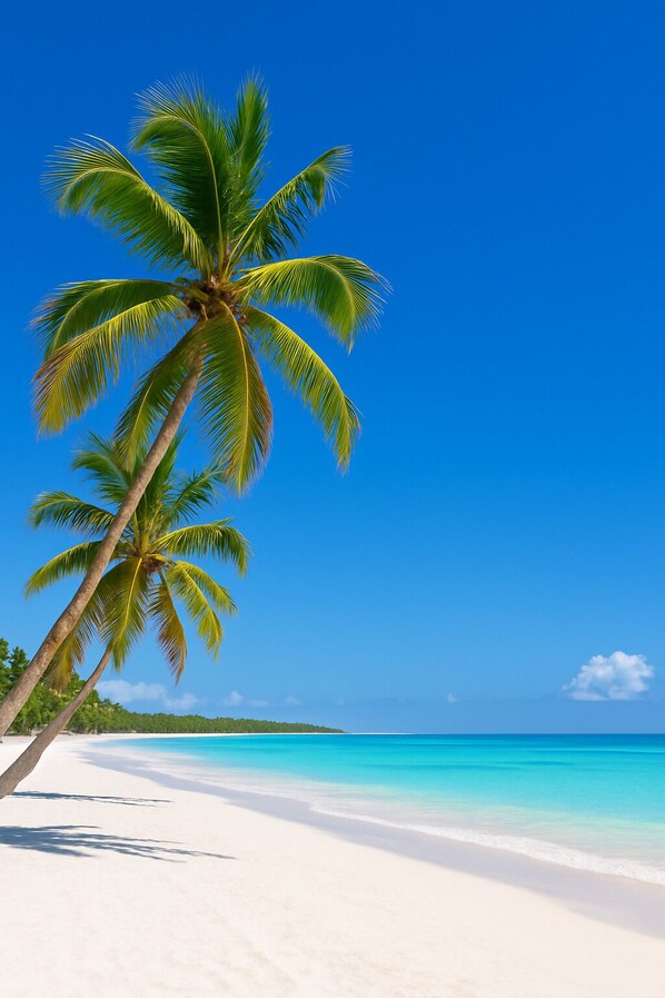 Una playa cerca