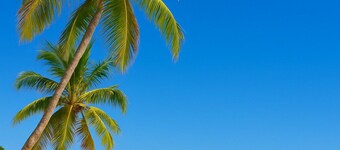 White Sand: Private Beach, Pool & Free Shuttle