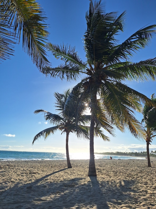 Plage à proximité