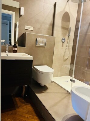 Dusche, Haartrockner, Bidet, Handtücher