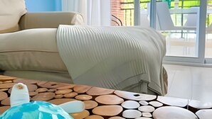 Ein Zimmer mit einer Couch, einem Holztisch mit einer Schildkrötfigur und Blick auf Grünflächen.