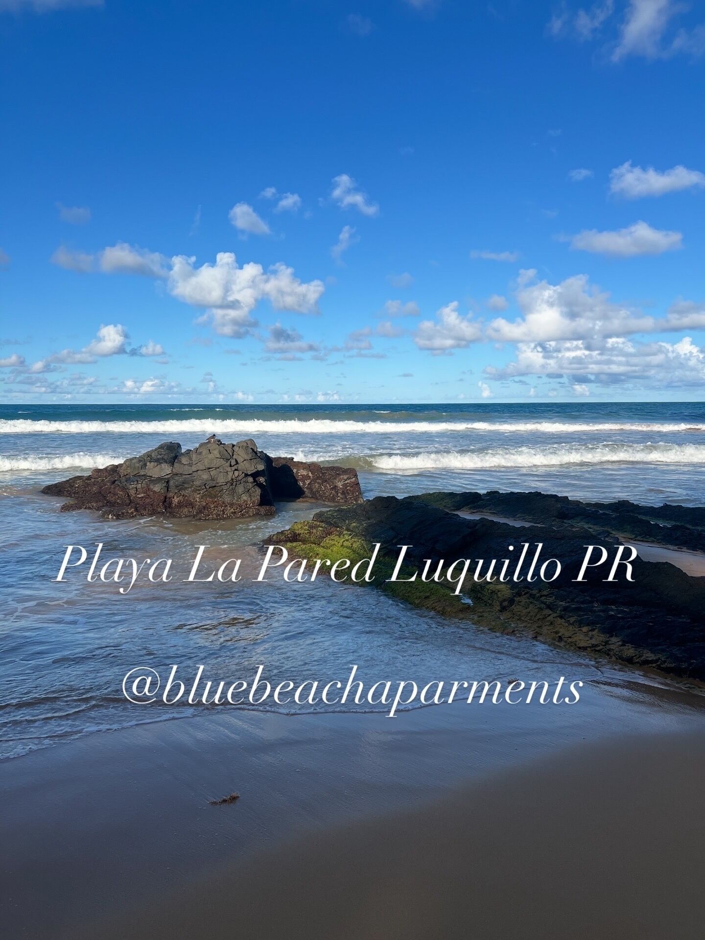 En la playa y toallas de playa 