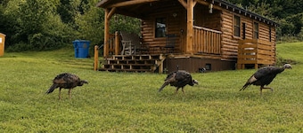 Haan Hollow – Secluded Log Cabin on 12 Private Acres in Gallipolis, Ohio