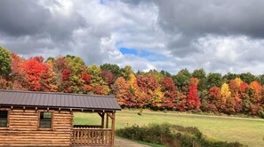 Exterior - Charming one-room cabin 12 acre retreat private bath, kitchenette  & log gazebo. (Gallipolis)