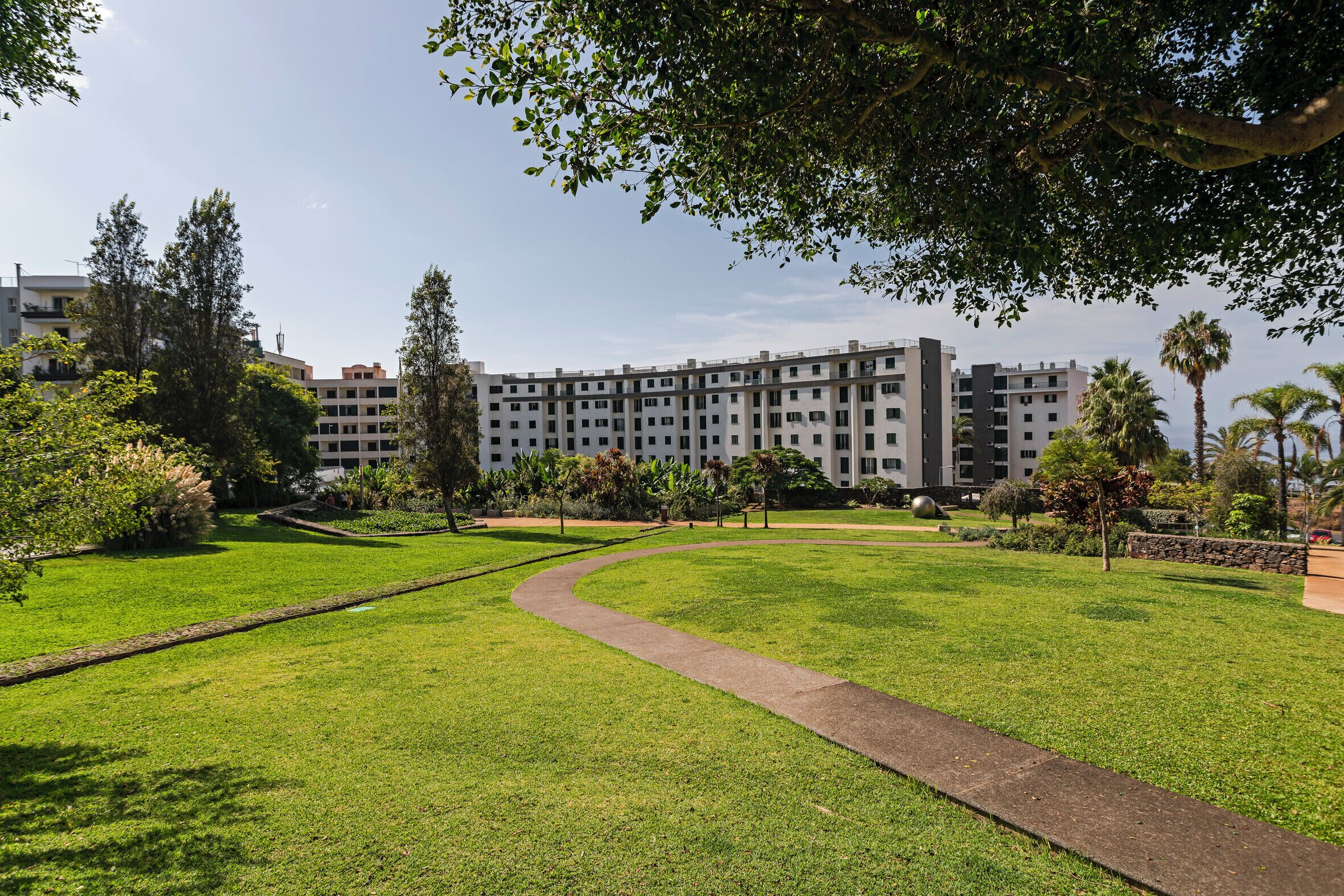 A well-maintained grassy area with a curved pathway leading to a modern multi-story building.
