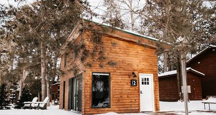 Lovely Tiny-House Cabin on Crosslake + Sauna + Bonfire + Kayak + Dock