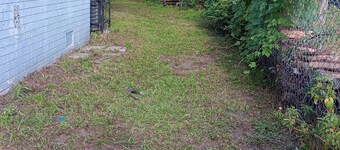 Charming studio apartment downtown Jacksonville