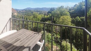 Un balcon doté d’une terrasse en bois et d’une rambarde en métal, offrant une vue sur un paysage montagneux et une végétation luxuriante.