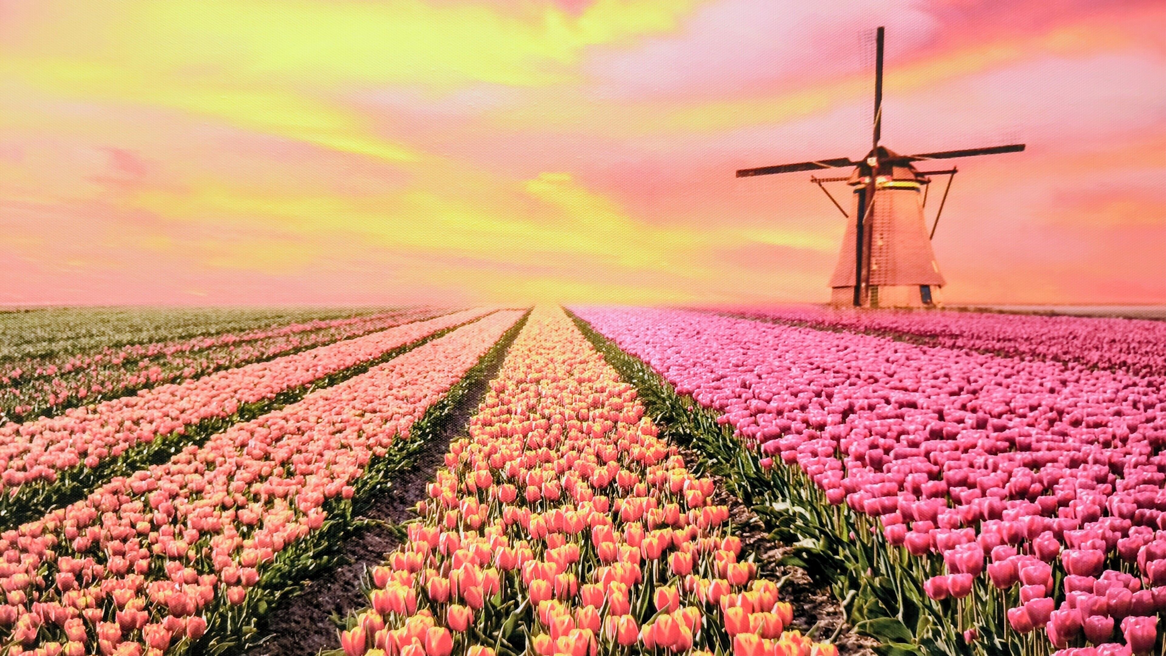 Studio, Multiple Bedrooms, Accessible, Smoking | Miscellaneous