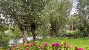 A serene garden with mature trees, a calm water body, and vibrant pink flowers. - Amazing home in Stolwijk with house sea view (Stolwijk)