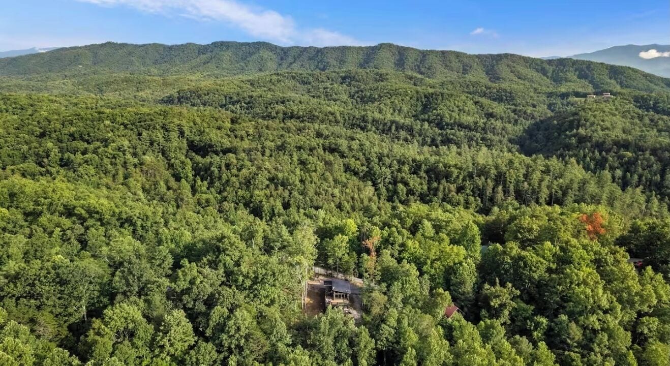 A forested area with a small building surrounded by dense trees.