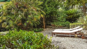 A garden with a gravel path, a wooden bench, and various plants including palm trees. - 2 bedroom beautiful home in Cava de' Tirreni (Cava de' Tirreni)