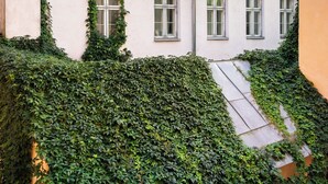 Un edificio con varias ventanas y una escalera que conduce a los pisos superiores.