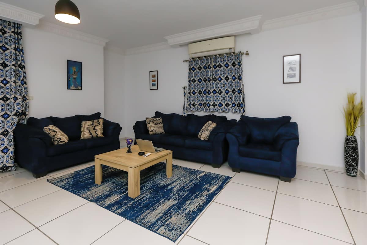 A living room with two dark blue sofas, a wooden coffee table, and a patterned rug.