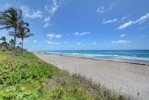Tæt på stranden