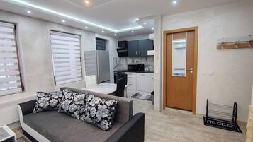 Apartment, Accessible, Smoking | Living room