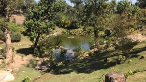 A natural landscape with a pond, trees, and a grassy area. - Green retreat with lake, swimming pool, barbecue and large leisure area surrounded by nature (Canguera)