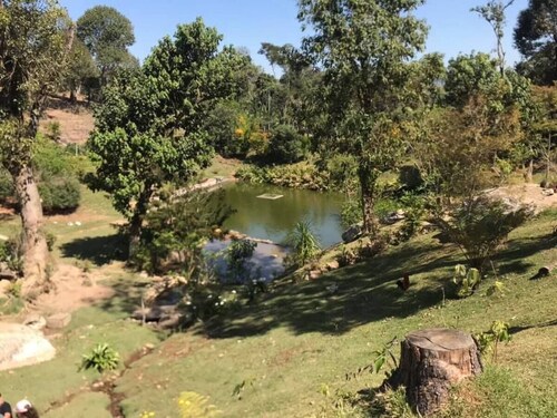 Green retreat with lake, swimming pool, barbecue and large leisure area surrounded by nature