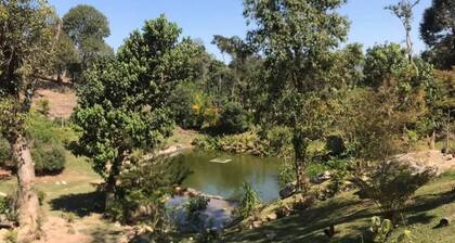 Green retreat with lake, swimming pool, barbecue and large leisure area surrounded by nature