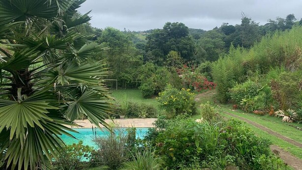 A lush garden with a swimming pool, surrounded by dense greenery and trees. - Green retreat with lake, swimming pool, barbecue and large leisure area surrounded by nature (Canguera)