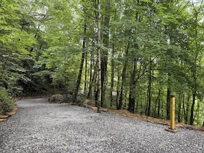 Property grounds - Spacious and Stylish, completely remodeled with modern amenities in scenic NC (Maggie Valley)