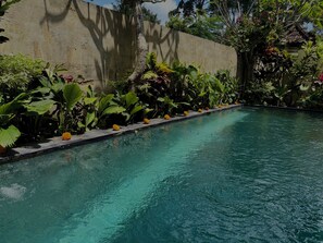 Outdoor pool - Blue Lotus Ubud (Ubud)