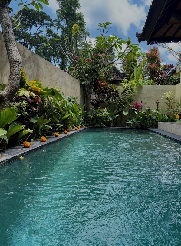 Outdoor pool - Blue Lotus Ubud (Ubud)