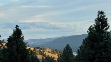 Un paysage naturel caractérisé par une diversité d’arbres et offrant une vue lointaine sur des collines.