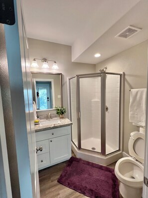 Hair dryer, towels, soap, toilet paper