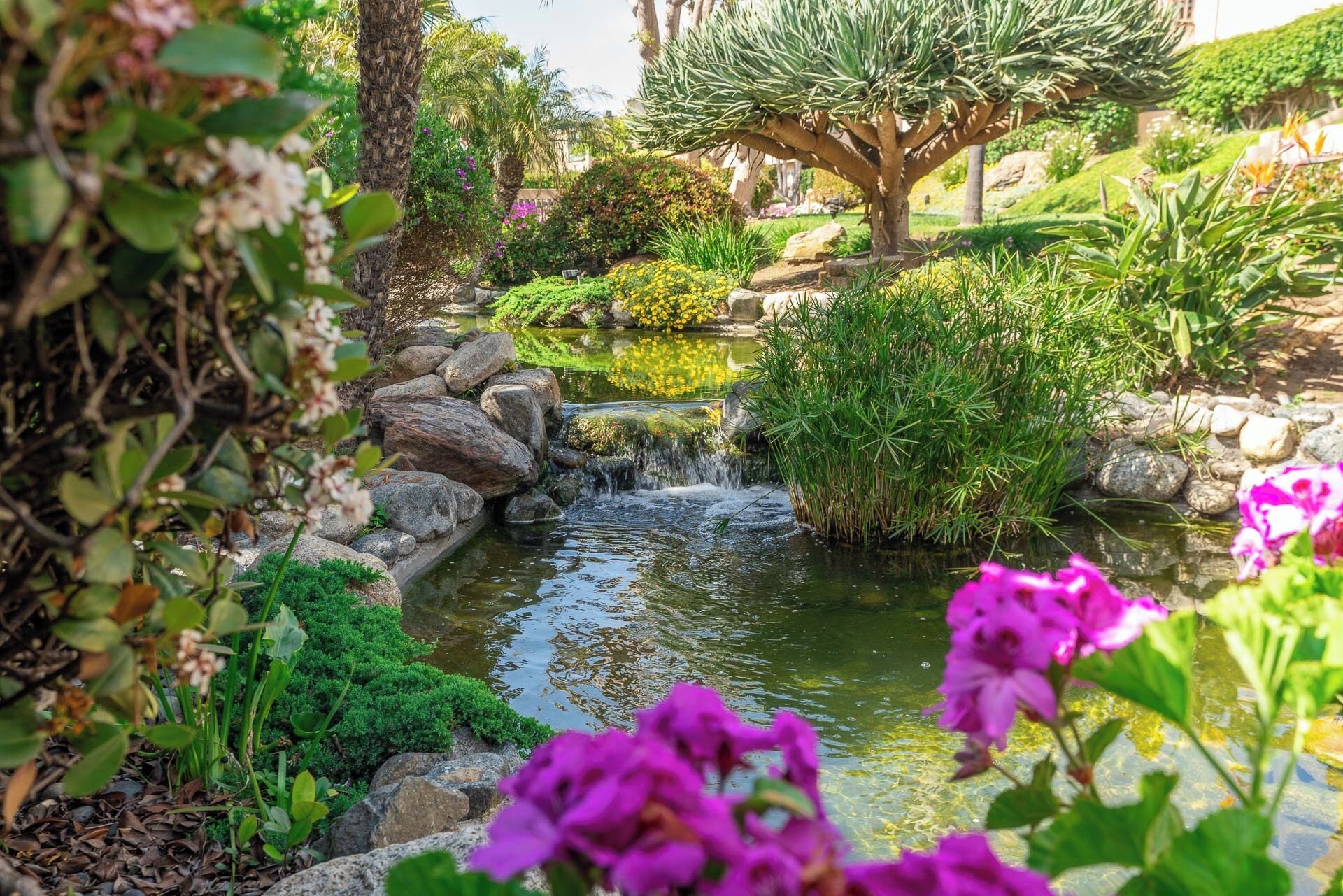 المنطقة المحيطة بالمنشأة