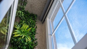 Un coin de pièce avec une fenêtre, une plante et un mur à texture.