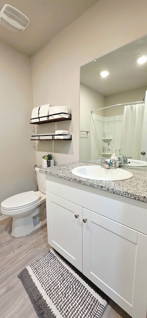 Hårtørrer, bidet, håndklæder, Sæbe