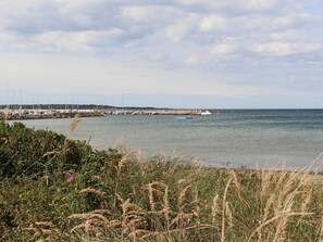 House | Beach - 5 Star Holiday Home in Torekov (Torekov)