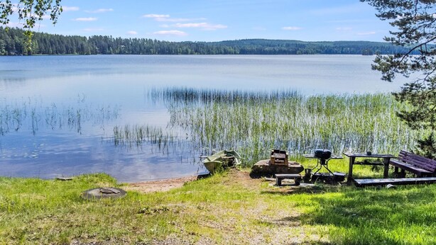 En campingplads ved søen med borde-bænkesæt og grill, omgivet af græs og træer.