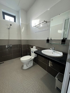 Standard Double Room | Bathroom | Shower, hair dryer, towels, soap