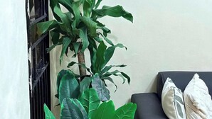 Eine Ecke eines Raumes mit einer schwarzen Couch, einem weißen Kissen und einer Topfpflanze.