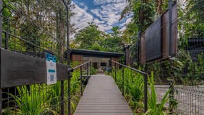 A pathway leading to a building with a metal fence on one side and a wooden fence on the other, surrounded by greenery.