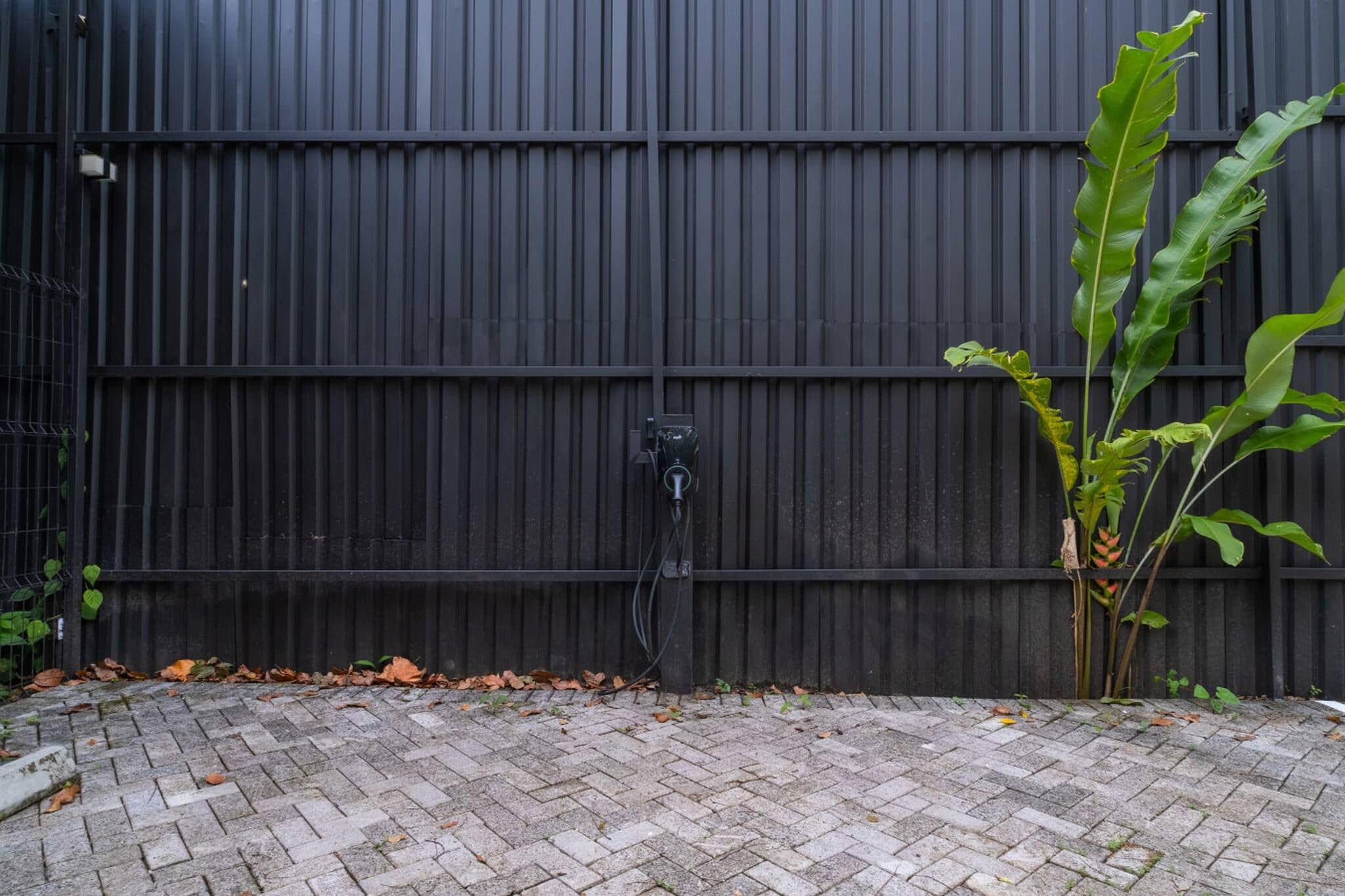 Un área pavimentada con ladrillos, una valla de metal negro y una planta de hojas anchas.