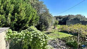 Un jardín con diversas plantas y árboles, una cerca de alambre y un muro de concreto.