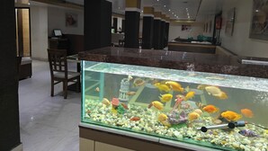 A hotel lobby with a large aquarium filled with colorful fish, a reception desk, and a seating area. - Hotel Grand Leela Krishna  (Bhimavaram)