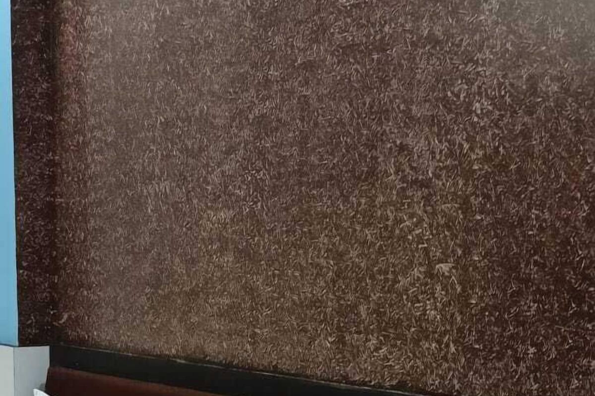 Kamar Deluks, AC | Meja kerja, tempat tidur lipat/tambahan, Wi-Fi gratis, dan seprai linen