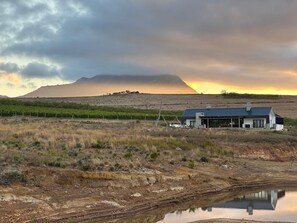 Exterior - Hermanus - The Winefarm Villa on Escape Wine Farm (Hermanus)